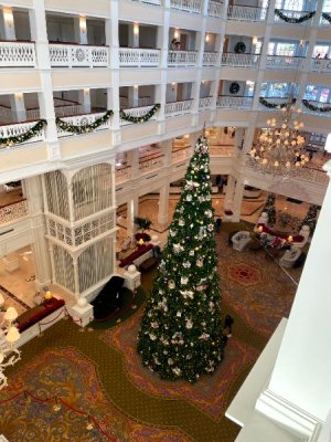 IMG_5230.jpg