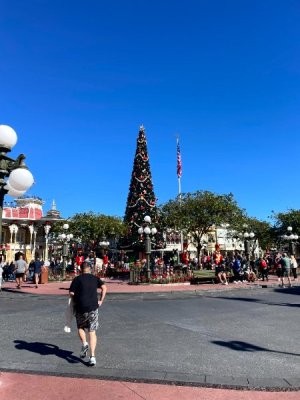 IMG_5239.jpg