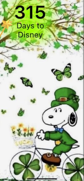 IRISH SNOOPY ON BIKE.jpeg