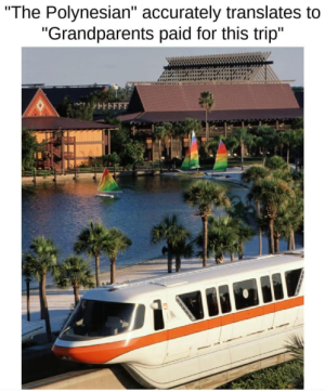 1740405395355.png