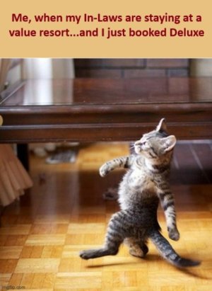 strut.jpg
