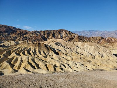 20190914_082732[1].jpg