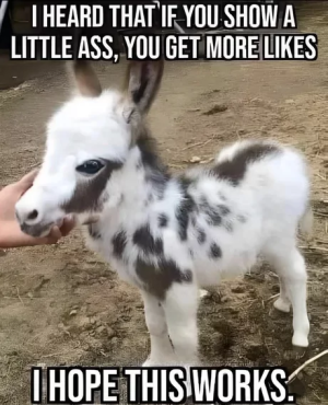 67bd95fe42d75.png
