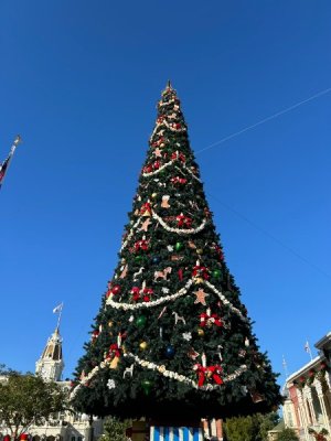 IMG_6360.JPEG