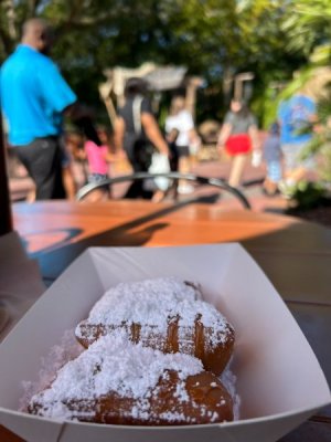 IMG_6382.JPEG