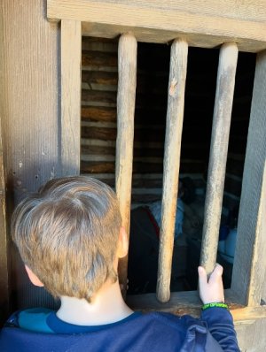 IMG_6492.jpeg