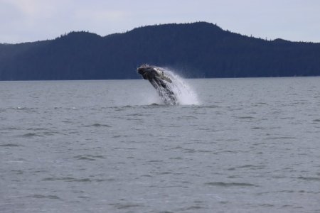 IMG_1712.JPG