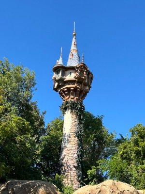 IMG_6418.JPEG