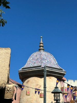 IMG_6419.JPEG