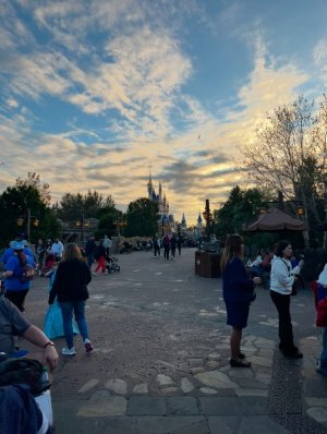 IMG_6517.jpeg