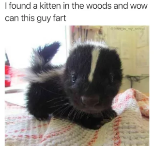 67beb563870a5.png