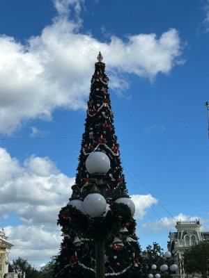 IMG_6435.JPEG