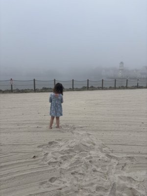 IMG_2202.jpeg IMG_2202.jpeg