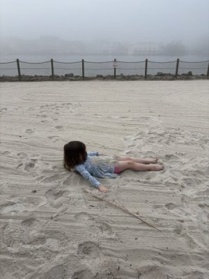 IMG_2203.jpeg IMG_2203.jpeg