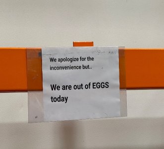 IMG_1042.jpeg