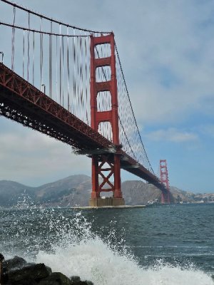 20230919_131906[1].jpg