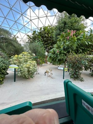 IMG_6475.JPEG