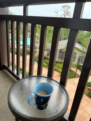 IMG_6688.jpeg