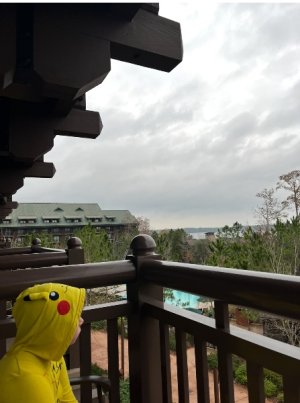 IMG_6689.jpeg