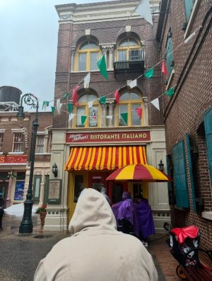 IMG_6699.jpeg