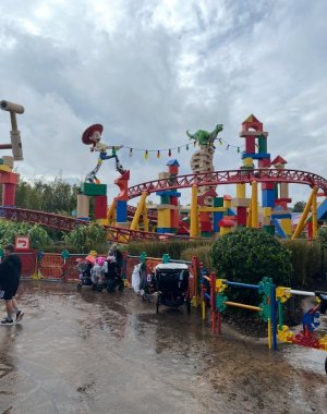 IMG_6707.jpeg IMG_6707.jpeg