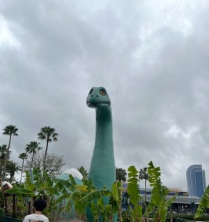 IMG_6710.jpeg IMG_6710.jpeg