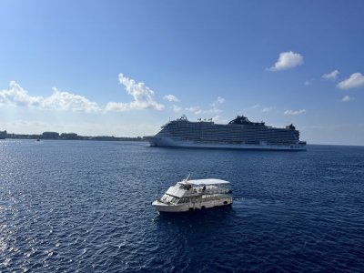 MSC cruise ship.jpeg