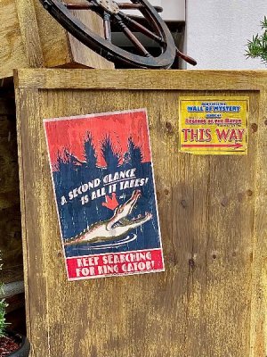 IMG_3090.jpeg