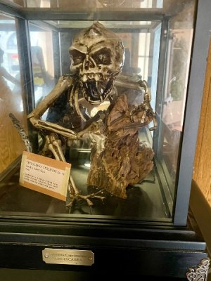 IMG_3101.jpeg