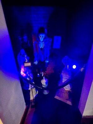 IMG_3111.jpeg