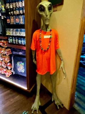 IMG_3118.jpeg