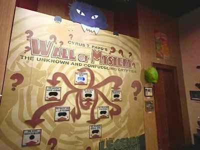 IMG_3120.jpeg