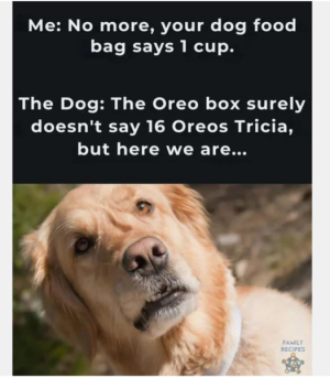 1740846725424.png