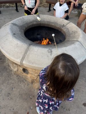 IMG_2223.jpeg
