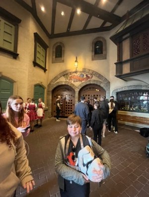 IMG_6774.jpeg