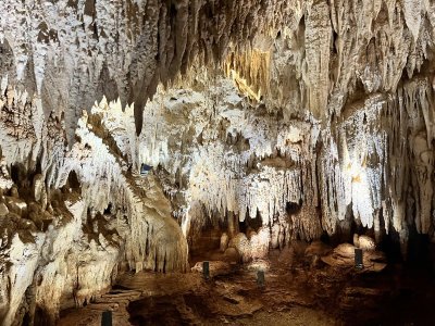 Roots cave1.jpeg