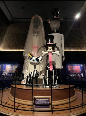 IMG_6801.jpeg
