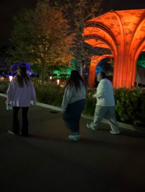 IMG_6831.jpeg