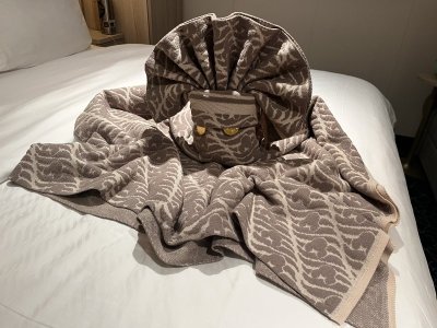 towel animal.jpeg