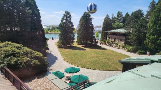 20230615_152656.jpg