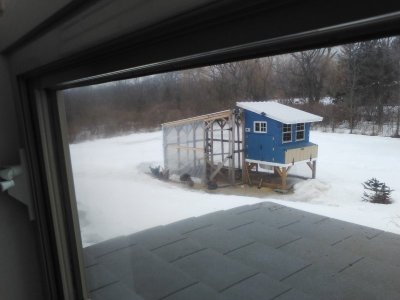 IMG_20250302_103134.jpg