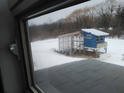 IMG_20250302_103124.jpg