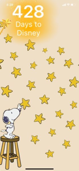 SNOOPY STARS.jpeg