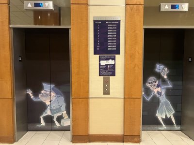 IMG_4799.jpeg