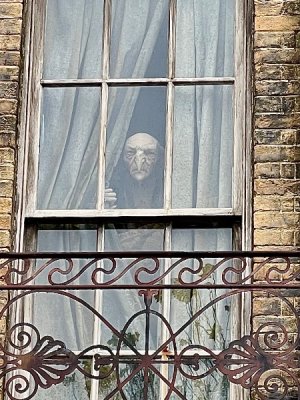 IMG_3180.jpeg
