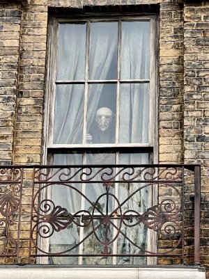 IMG_3181.jpeg
