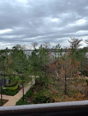 IMG_6863.jpeg