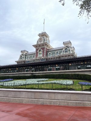 IMG_6869.jpeg