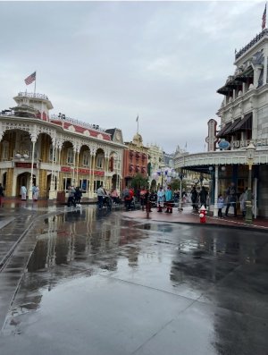 IMG_6870.jpeg