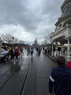 IMG_6875.jpeg